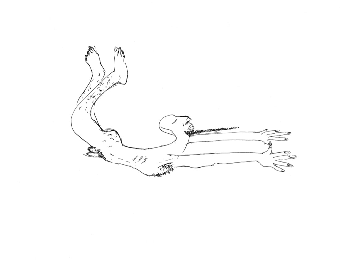 Late-Mid October Excitement